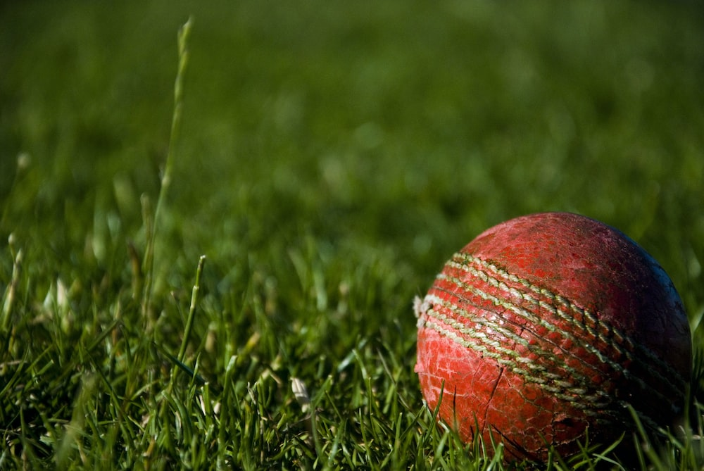 Red cricket ball on the grass